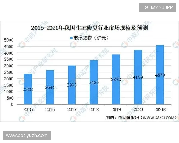 飞驰正规网址的推广策略及市场前景分析